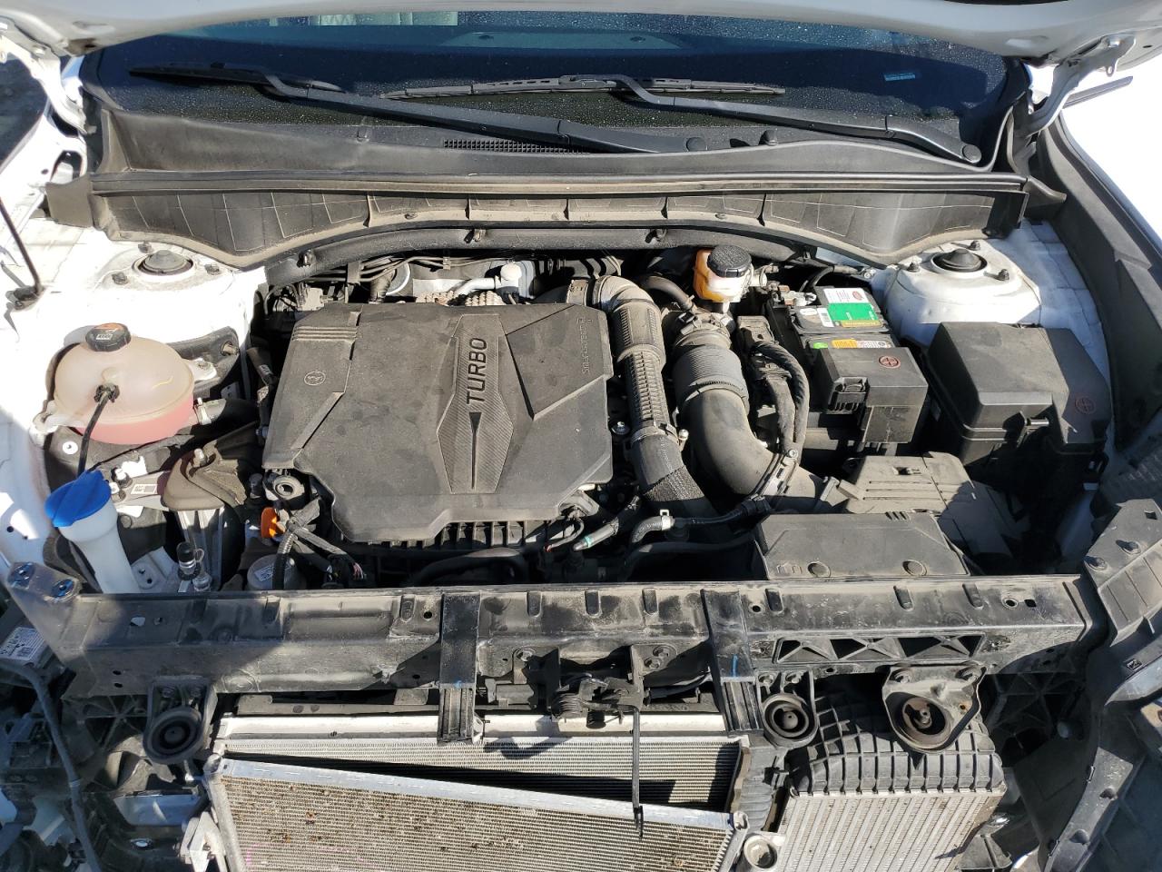 2021 Kia Sorento Sx VIN: 5XYRKDLF4MG011690 Lot: 82252575