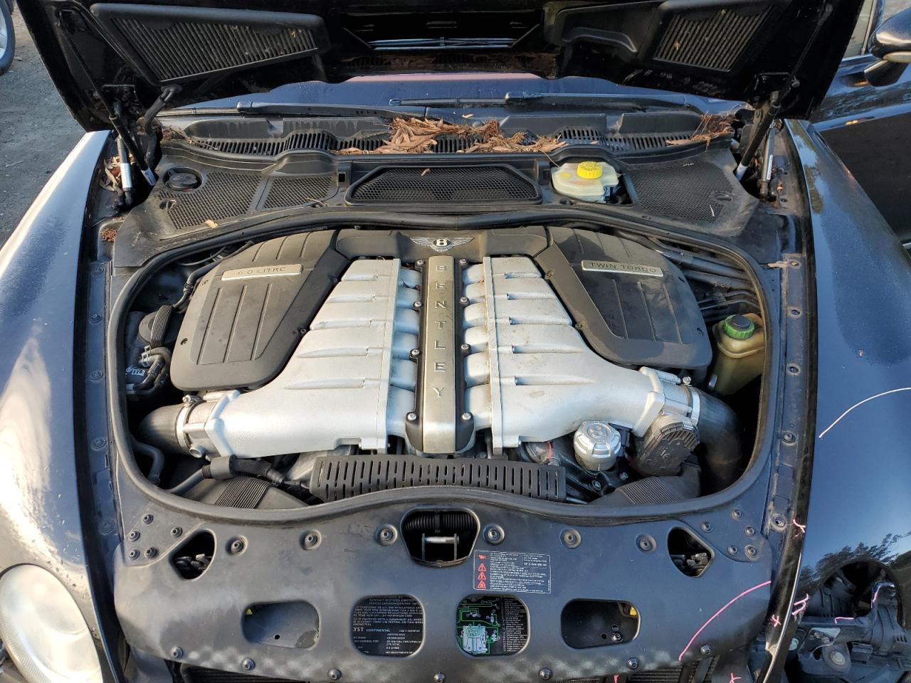 Continental Continental