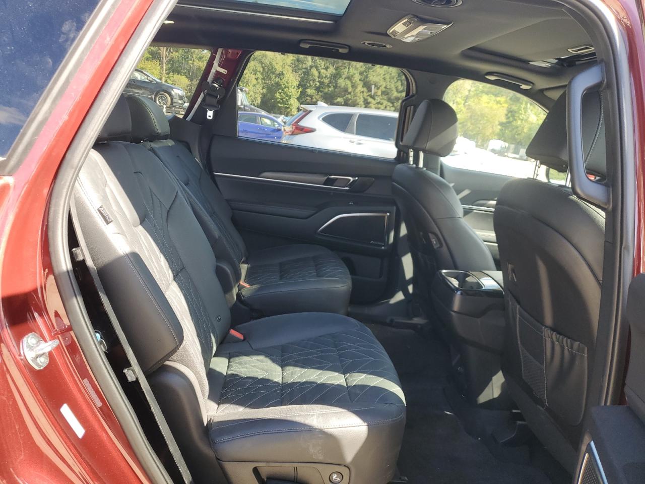 2024 Kia Telluride Sx VIN: 5XYP5DGC9RG541174 Lot: 84810805