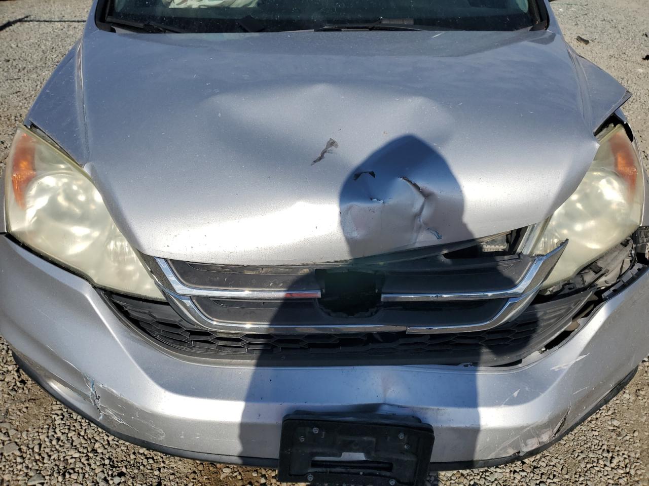 2010 Honda Cr-V Lx VIN: 5J6RE3H39AL036563 Lot: 82385595