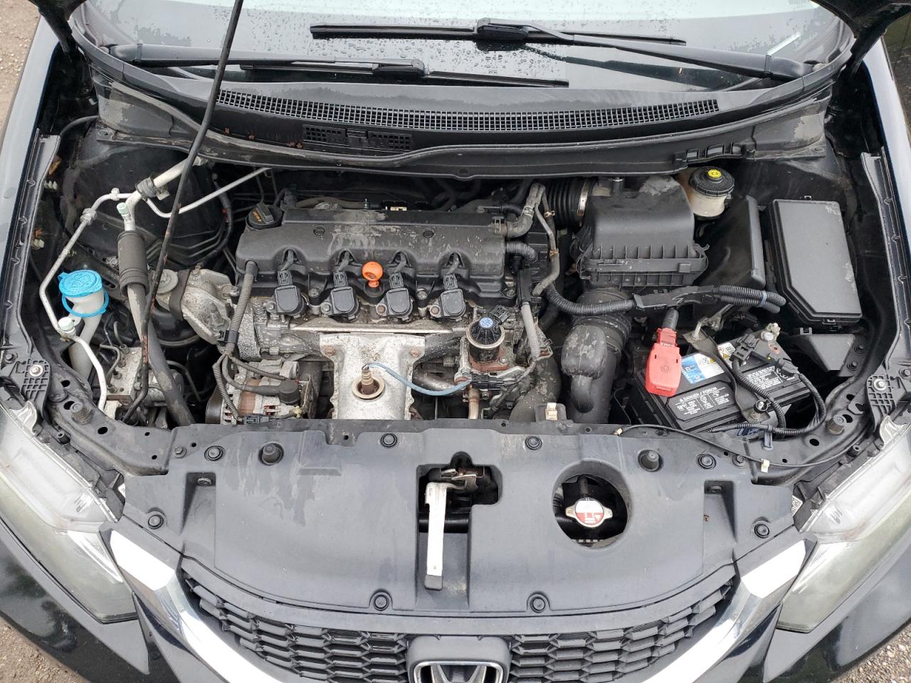 2014 Honda Civic Lx VIN: 19XFB2F51EE068311 Lot: 85717935