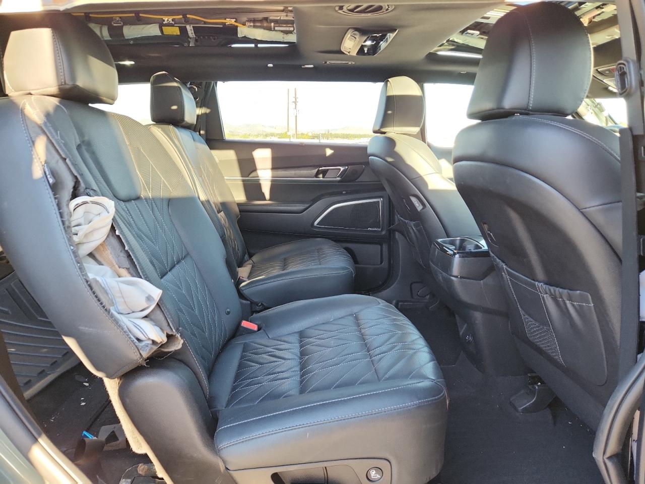 2024 Kia Telluride Sx VIN: 5XYP5DGC1RG454711 Lot: 84781205