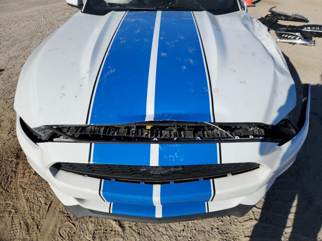 2016 Ford Mustang VIN: 1FA6P8AMXG5224224 Lot: 89460445