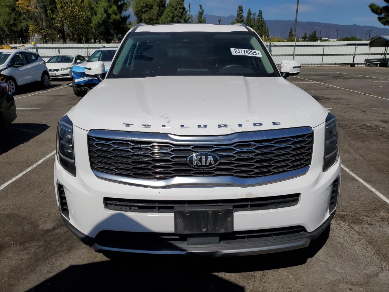 2021 Kia Telluride Ex VIN: 5XYP34HC0MG194752 Lot: 84774005