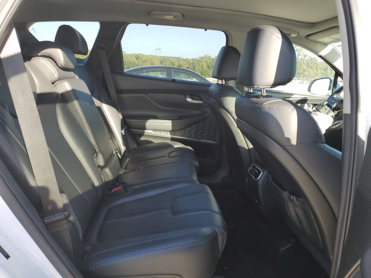 2023 Hyundai Santa Fe Sel Premium VIN: 5NMS3DAJXPH529819 Lot: 86148415