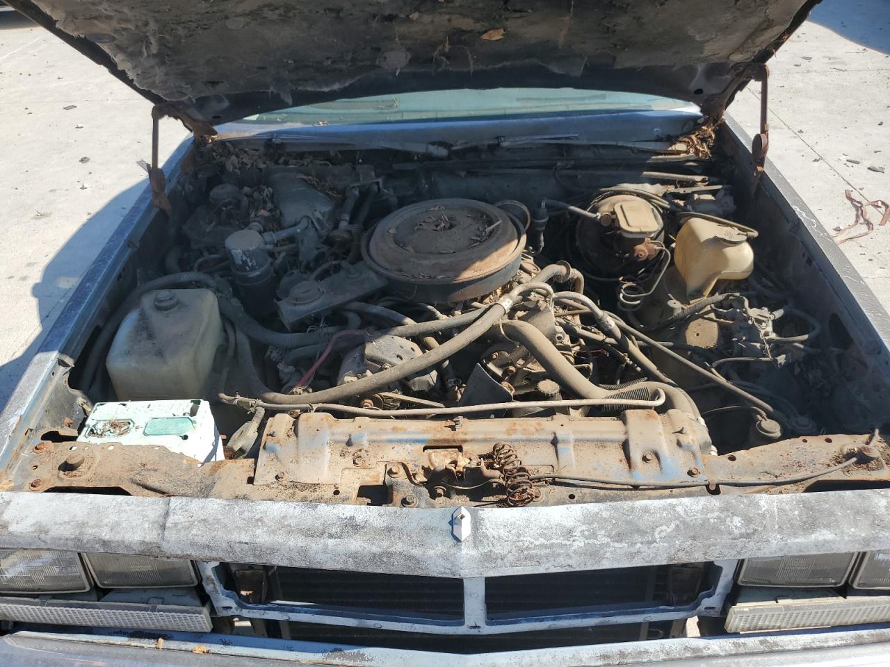 1981 Chevrolet El Camino VIN: 1GCCW80H4BZ409388 Lot: 90208285