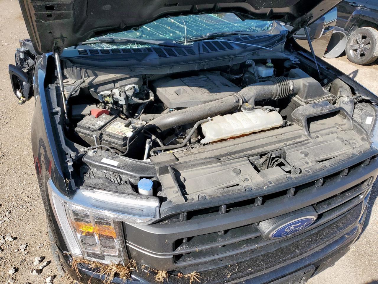 2023 Ford F150 Supercrew VIN: 1FTFW1E80PFA28062 Lot: 90531305