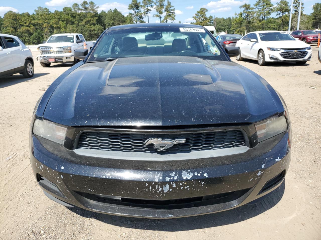 2010 Ford Mustang VIN: 1ZVBP8AN5A5170028 Lot: 85163935