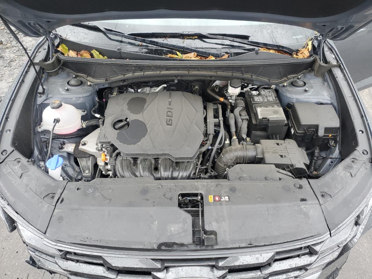 2025 Hyundai Tucson Sel VIN: 5NMJBCDE3SH508746 Lot: 87414155