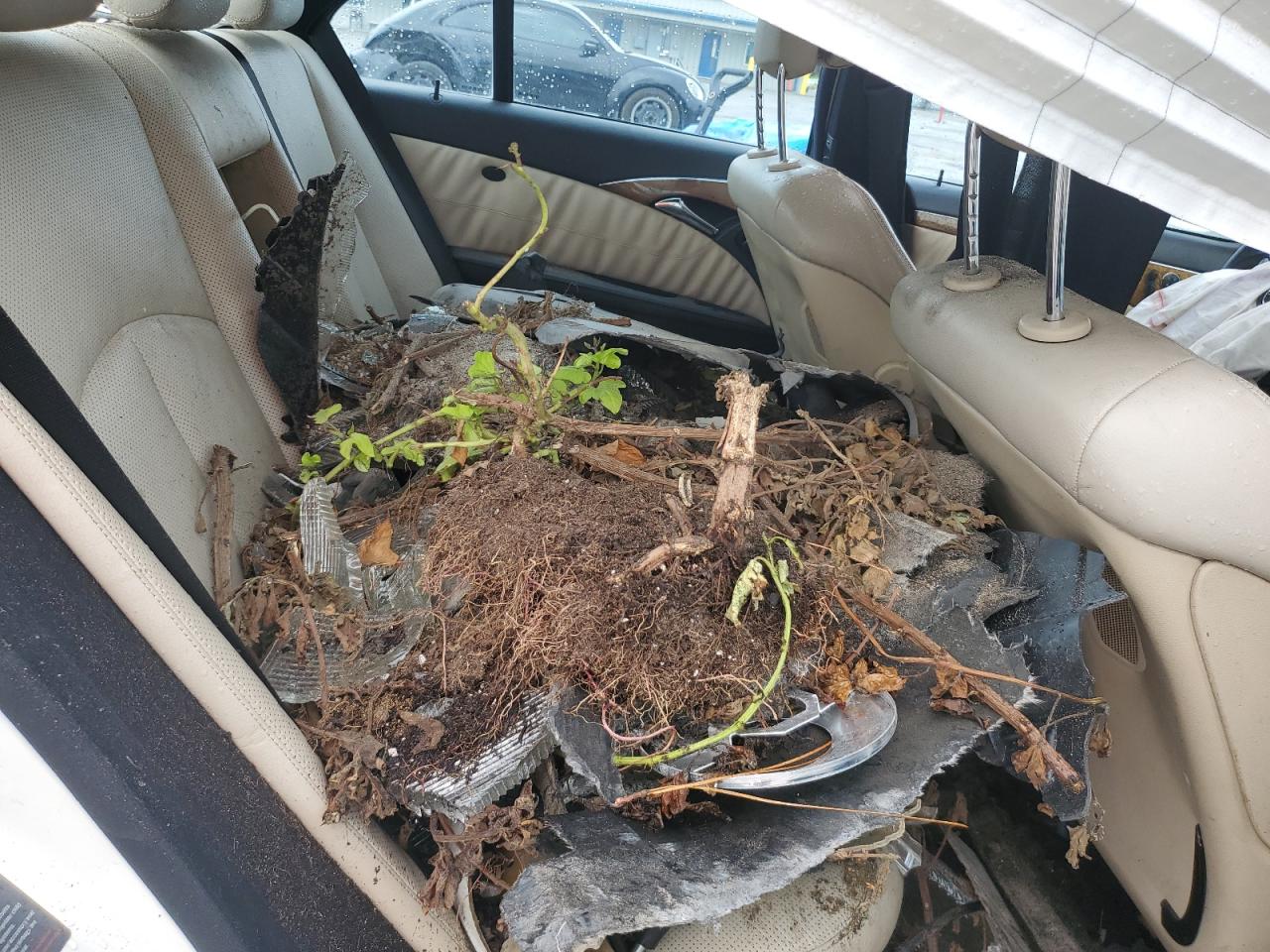 2009 Mercedes-Benz E 550 VIN: WDBUF72X49B377238 Lot: 85096285