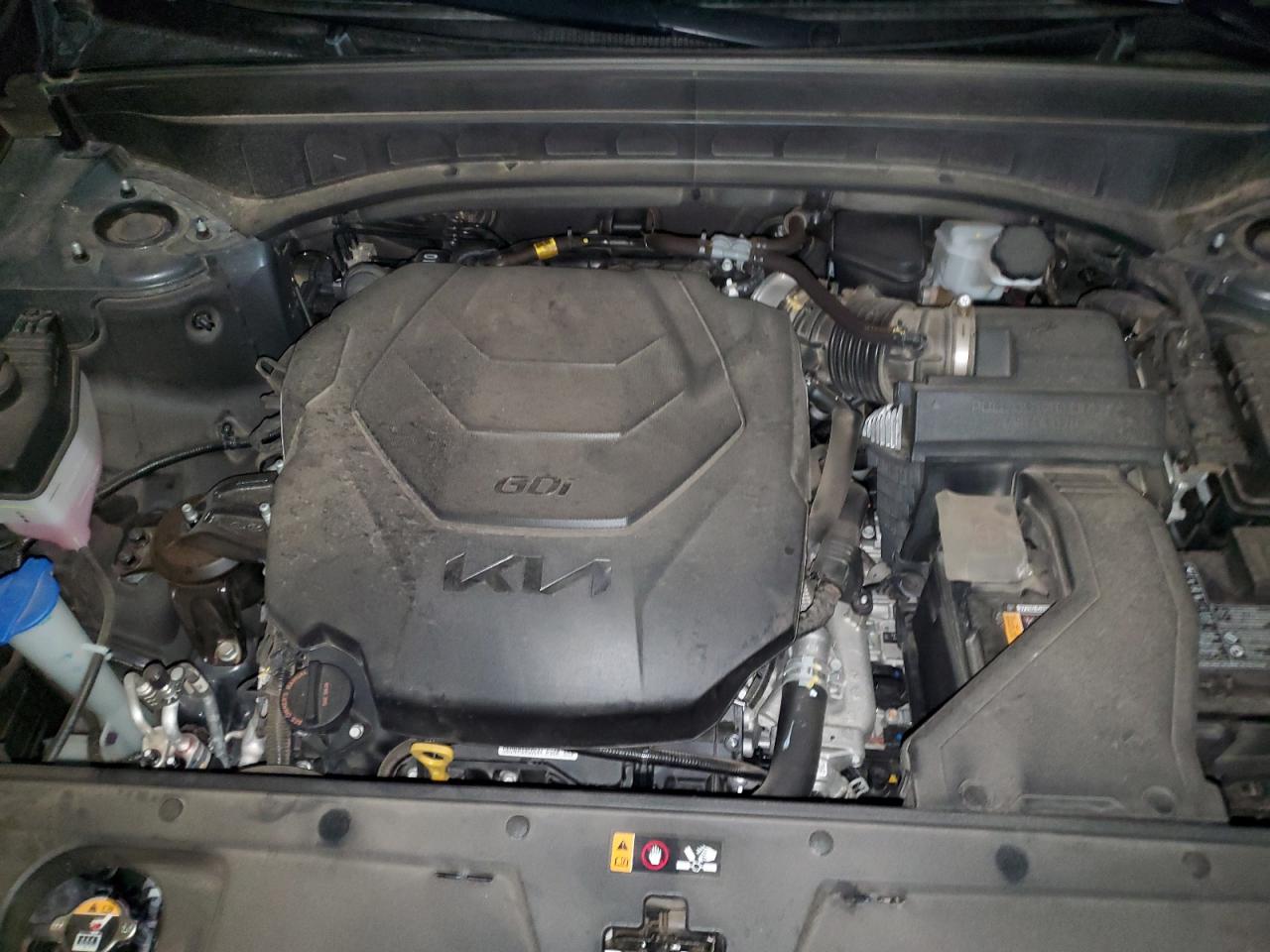 2025 Kia Telluride S VIN: 5XYP6DGC5SG606427 Lot: 86751975