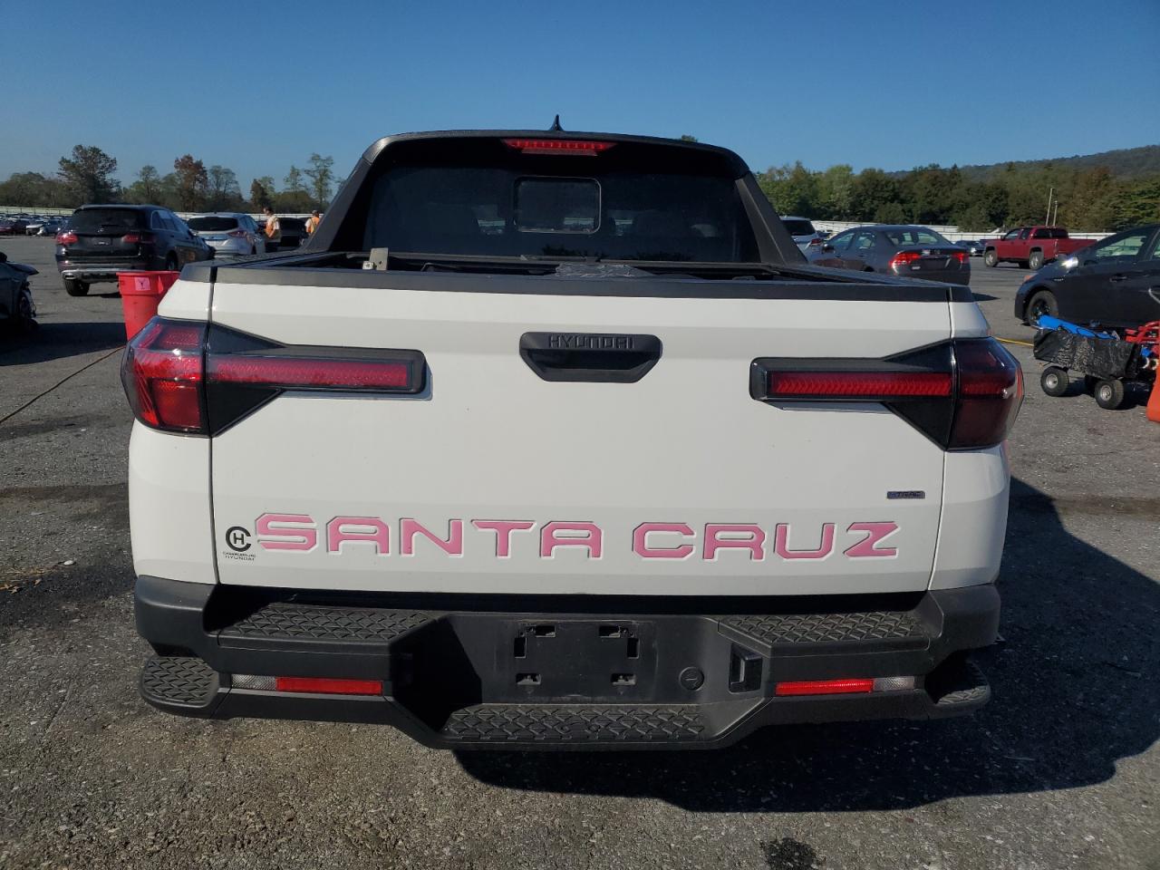2024 Hyundai Santa Cruz Sel VIN: 5NTJCDDE5RH118183 Lot: 85189465