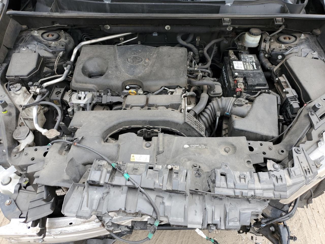 2019 Toyota Rav4 Xle VIN: JTMW1RFV8KD012181 Lot: 85334935