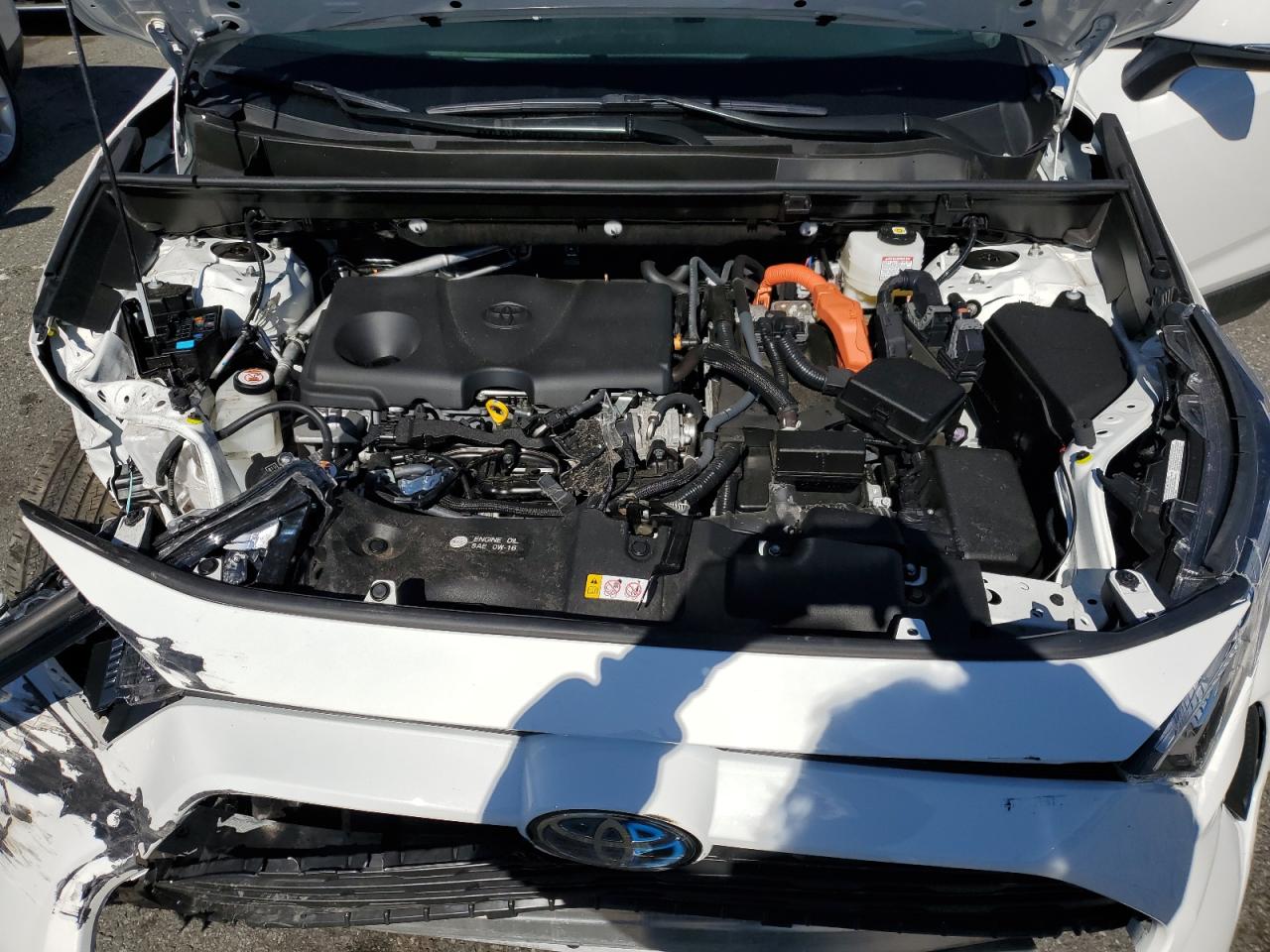 2023 Toyota Rav4 Xle VIN: JTMRWRFV6PD200445 Lot: 84382565