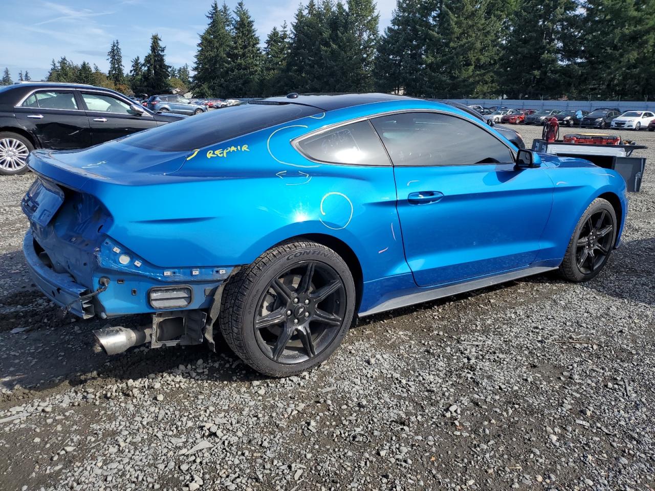 2019 Ford Mustang VIN: 1FA6P8TH6K5197872 Lot: 81871605