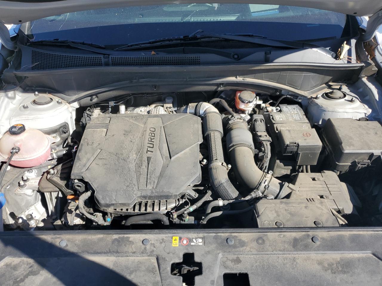 2022 Hyundai Santa Fe Calligraphy VIN: 5NMS54AL3NH416528 Lot: 89697195