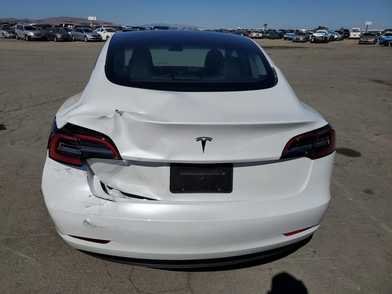 2023 Tesla Model 3 VIN: 5YJ3E1EA6PF587239 Lot: 85532915