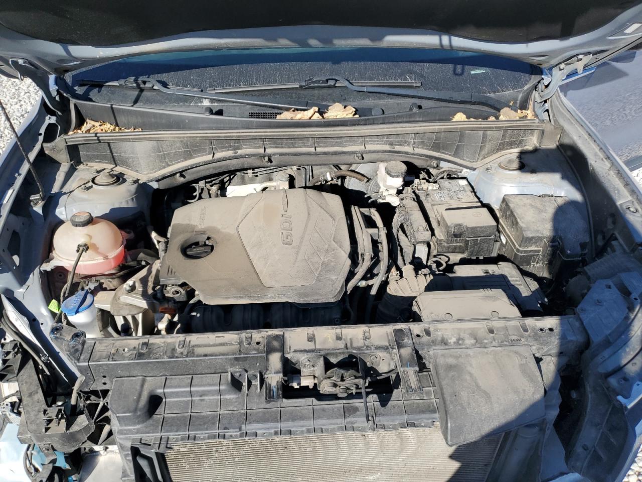 2022 Kia Sorento Lx VIN: 5XYRGDLC6NG087145 Lot: 82220905