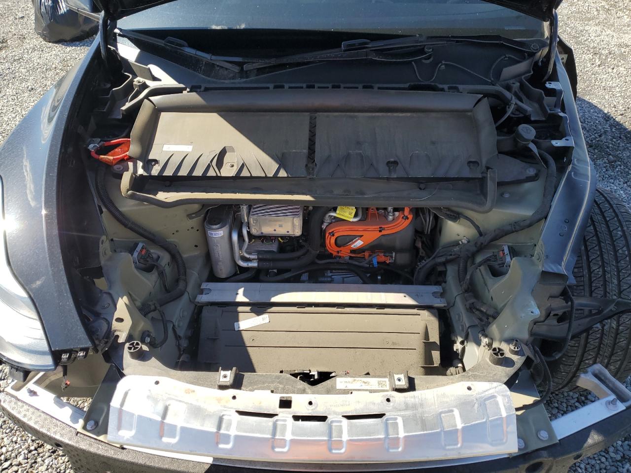 2024 Tesla Model Y VIN: 7SAYGAEE4RF982772 Lot: 85946255