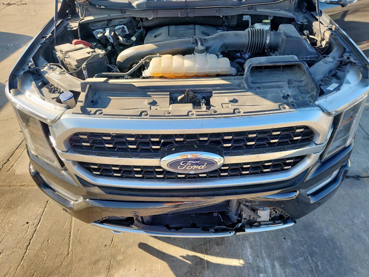 2023 Ford F150 Supercrew VIN: 1FTFW1E82PFC67564 Lot: 84746105