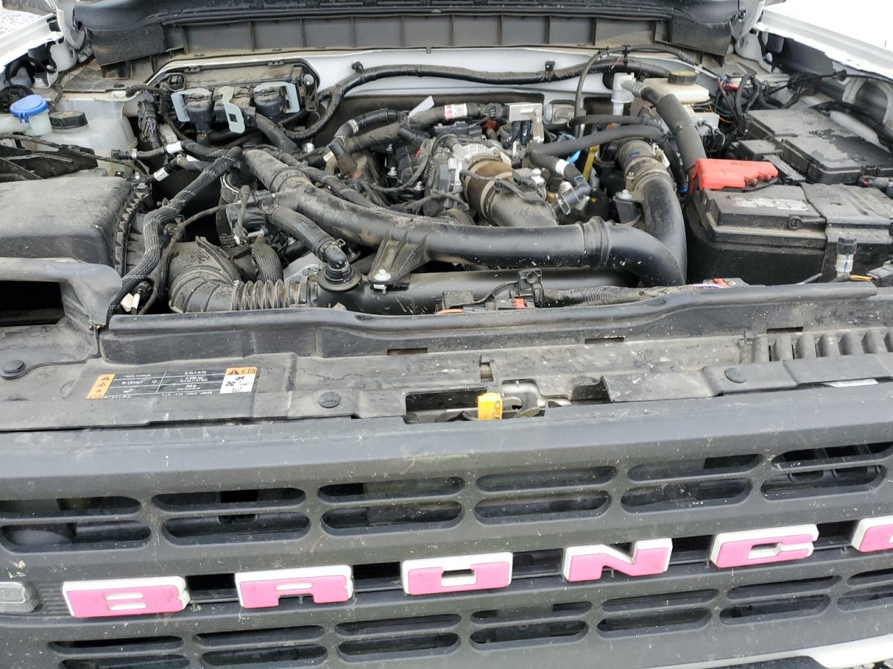 2023 Ford Bronco Base VIN: 1FMEE5DP6PLC03734 Lot: 90075215