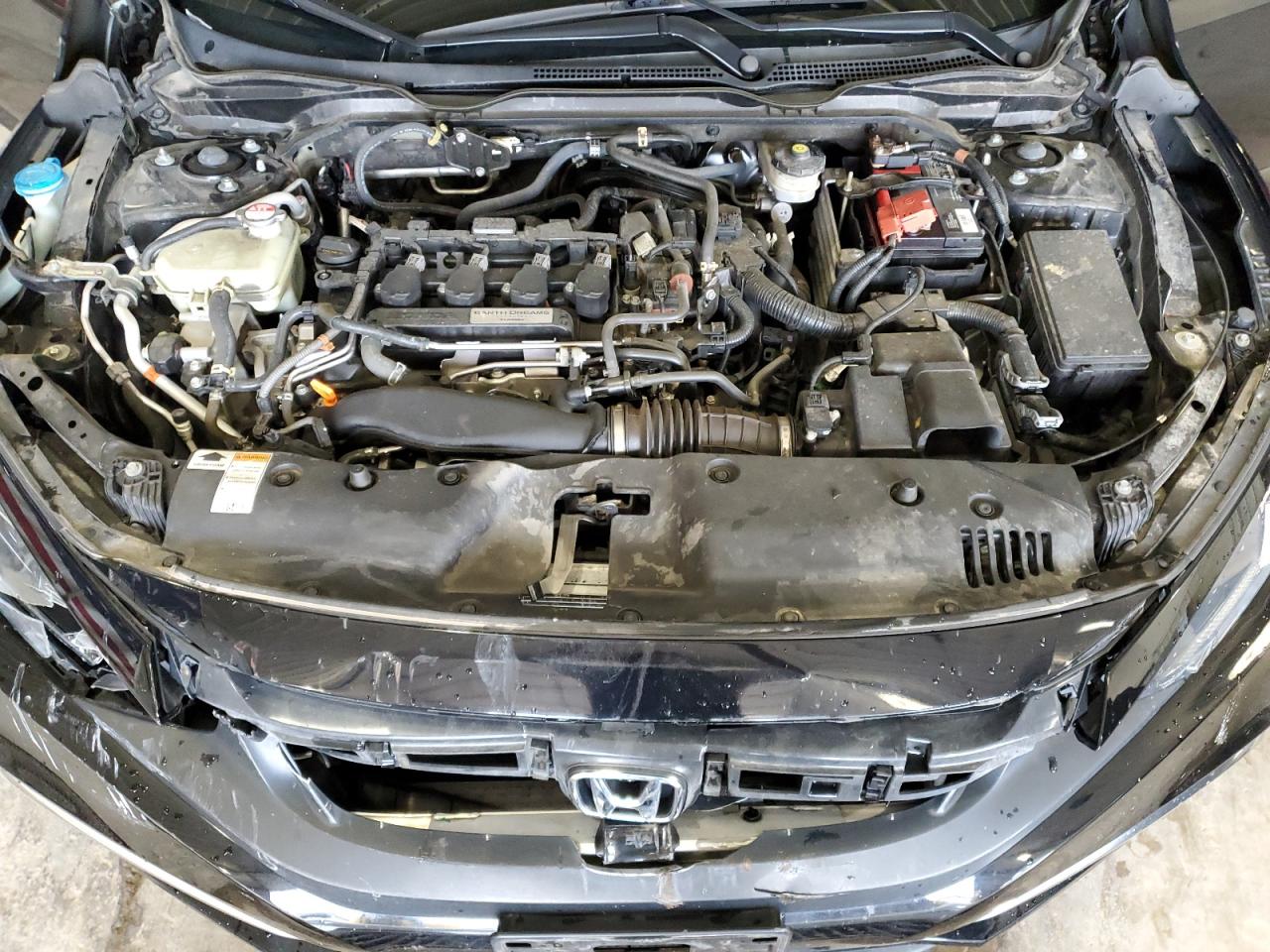 2020 Honda Civic Exl VIN: 19XFC1F70LE007750 Lot: 85940445