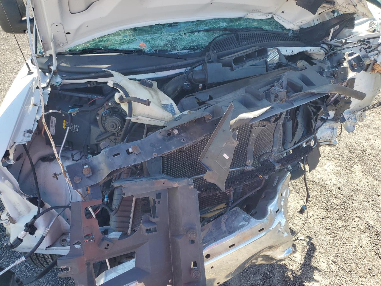 2019 Chevrolet Express G2500 VIN: 1GCWGAFG5K1251545 Lot: 82769885