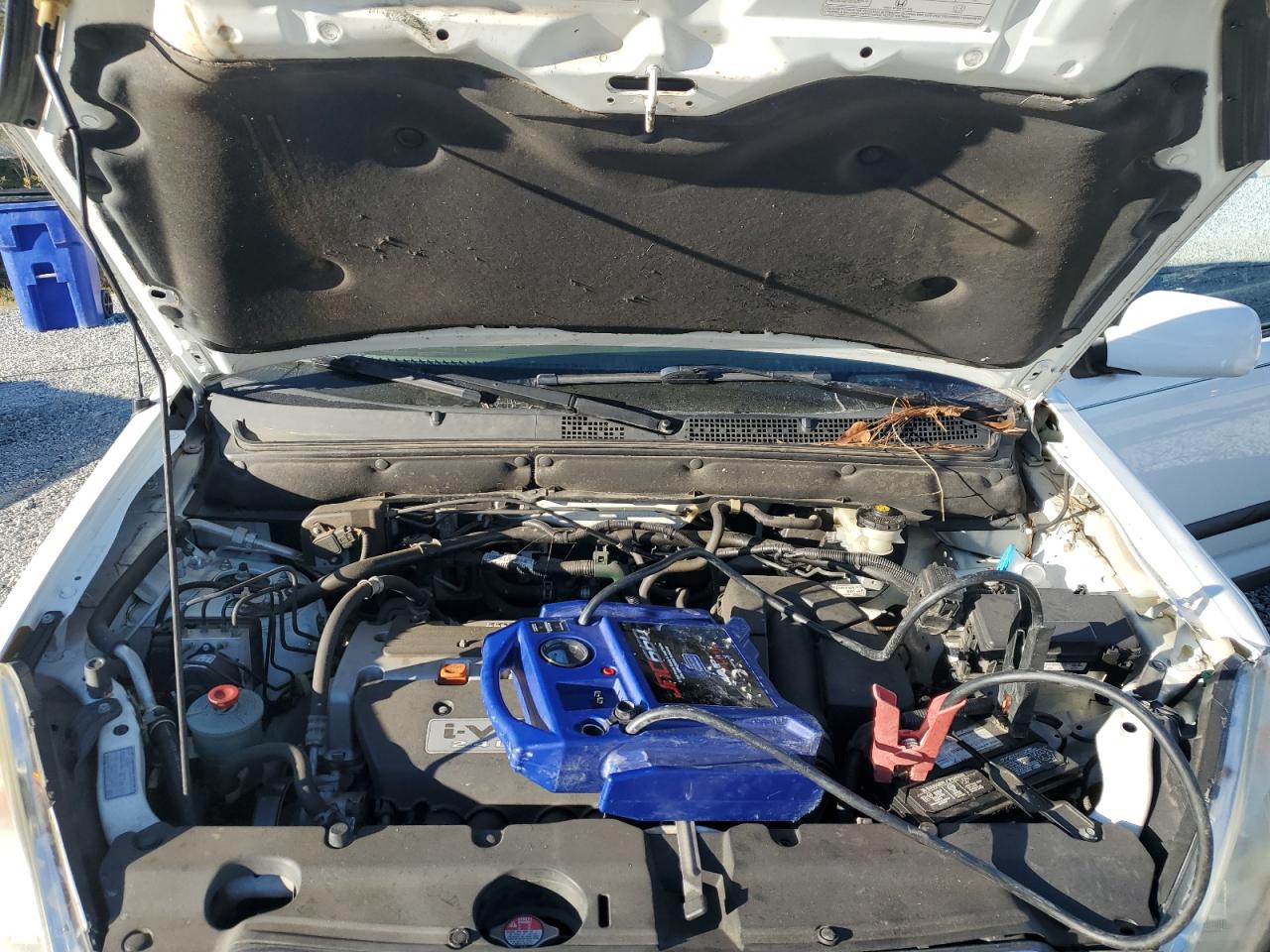 2006 Honda Cr-V Ex VIN: SHSRD78816U427317 Lot: 82516775