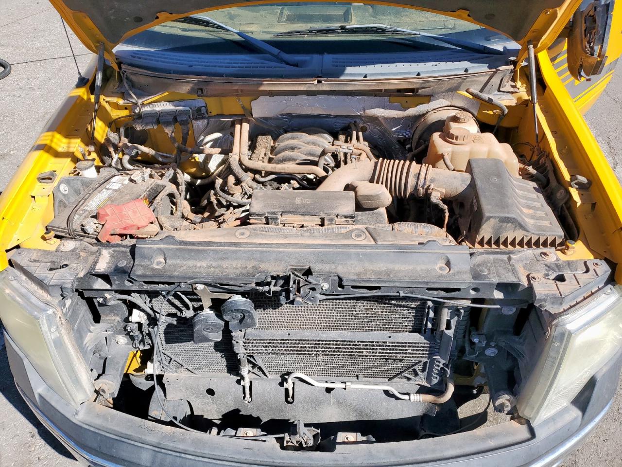 2013 Ford F150 VIN: 1FTPF1CF5DKF06923 Lot: 90519115