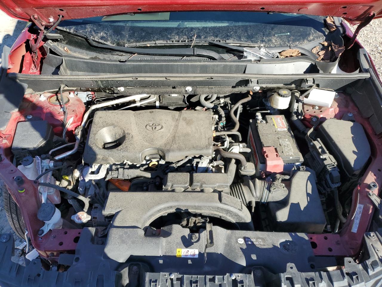 2019 Toyota Rav4 Xle VIN: 2T3P1RFV4KC049186 Lot: 71510325