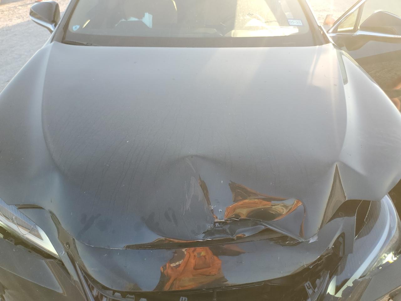 2024 Lexus Nx 250 Premium VIN: 2T2GDCAZ2RC008648 Lot: 82508945