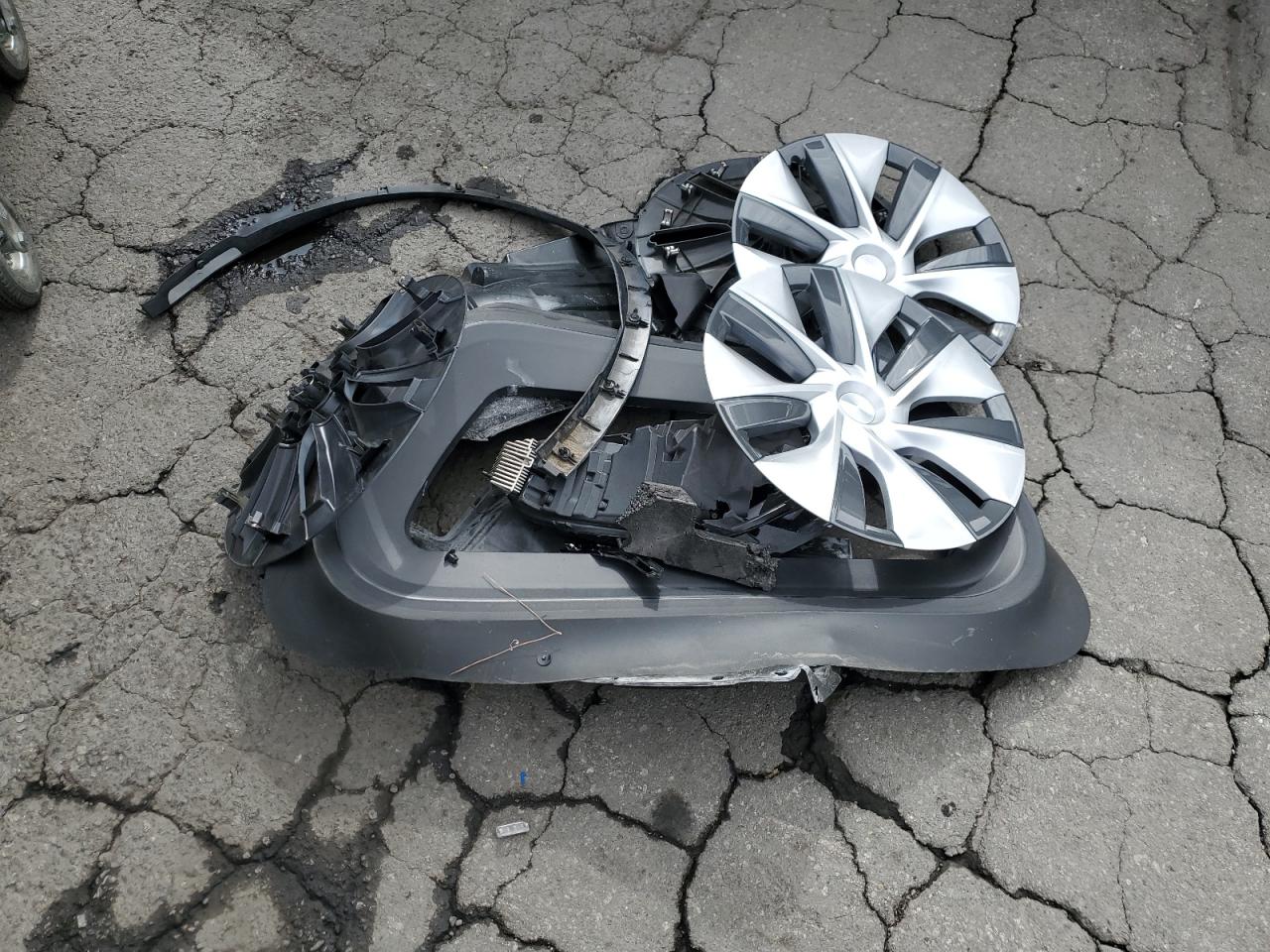 2022 Tesla Model Y VIN: 7SAYGAEEXNF402192 Lot: 82283335