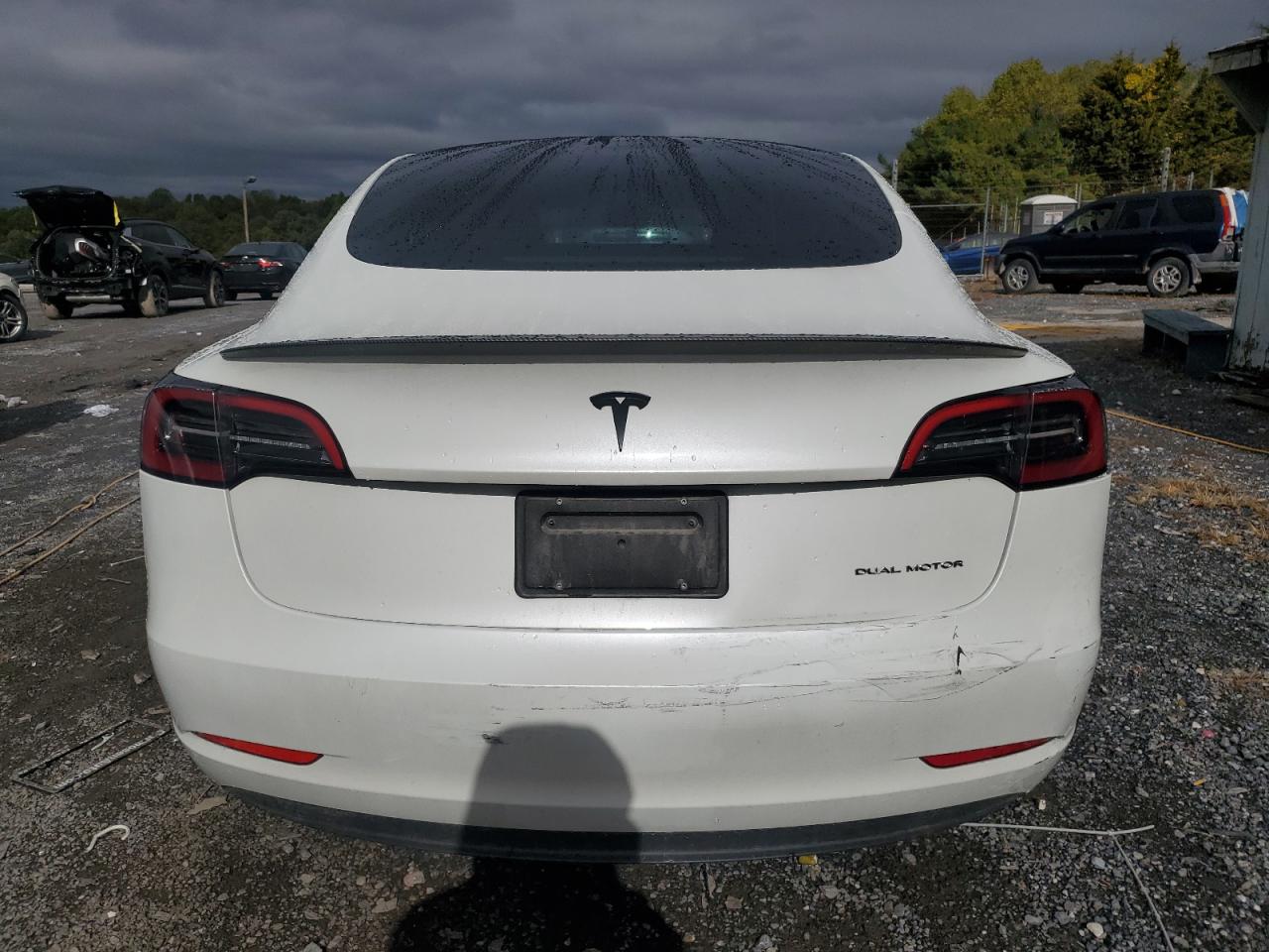 2023 Tesla Model 3 VIN: 5YJ3E1EB4PF636186 Lot: 86162995
