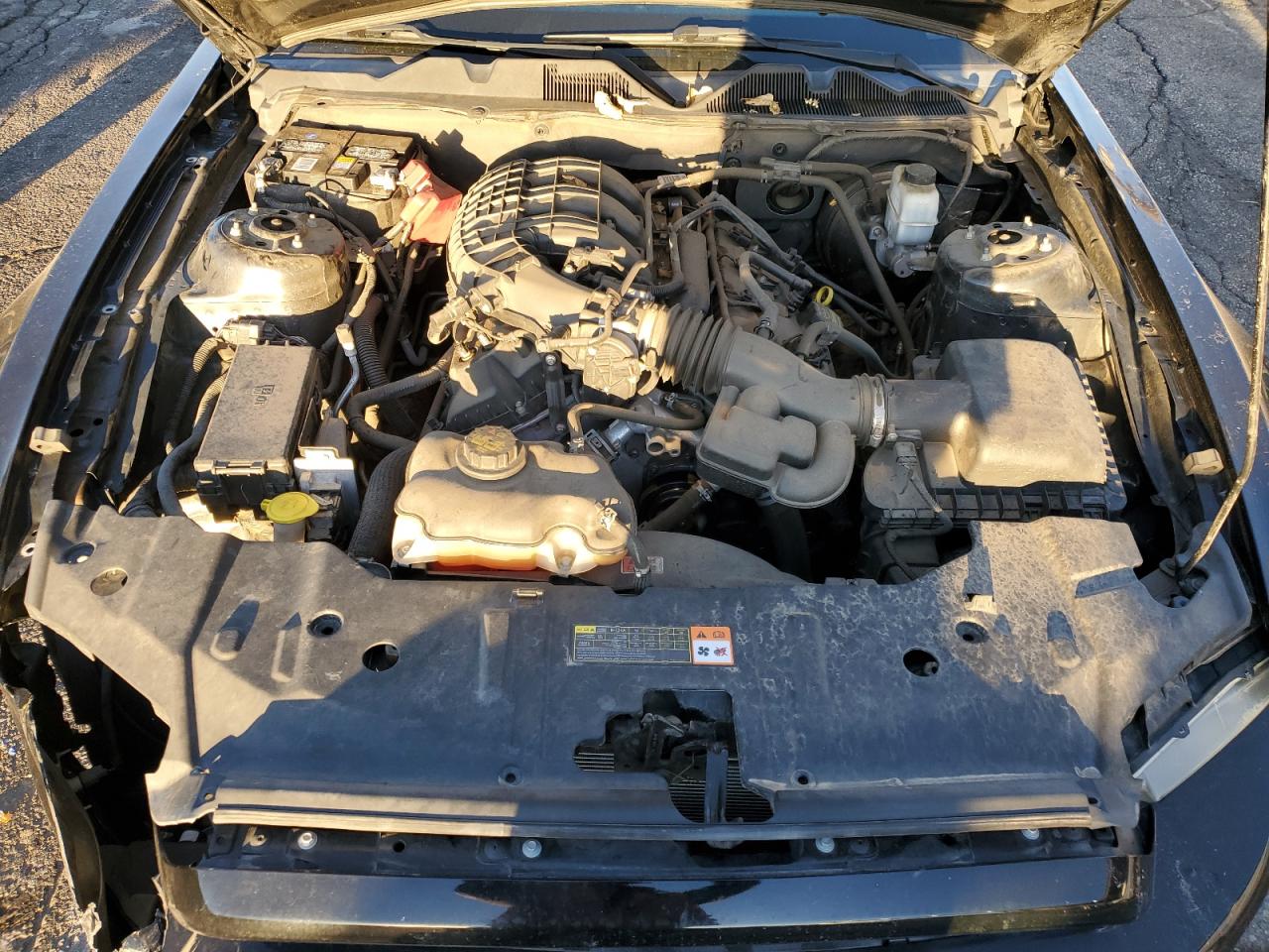 2013 Ford Mustang VIN: 1ZVBP8AM8D5208010 Lot: 84976975