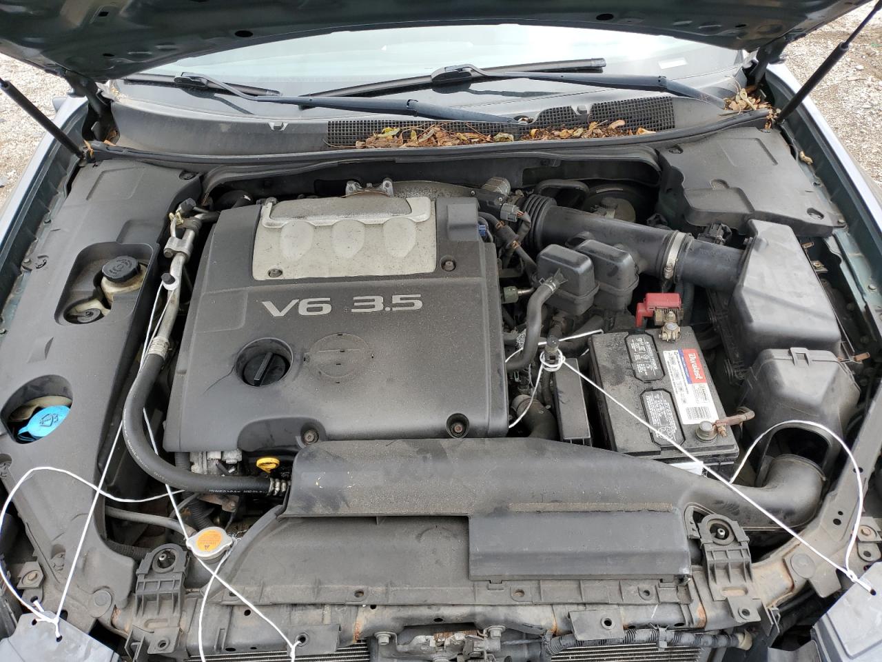 2007 Nissan Maxima Se VIN: 1N4BA41E07C822920 Lot: 82684015