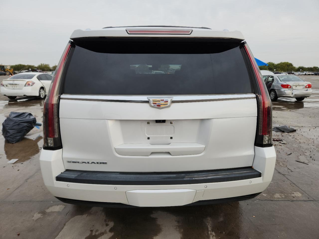 2017 Cadillac Escalade Platinum VIN: 1GYS4DKJ8HR258004 Lot: 89815645