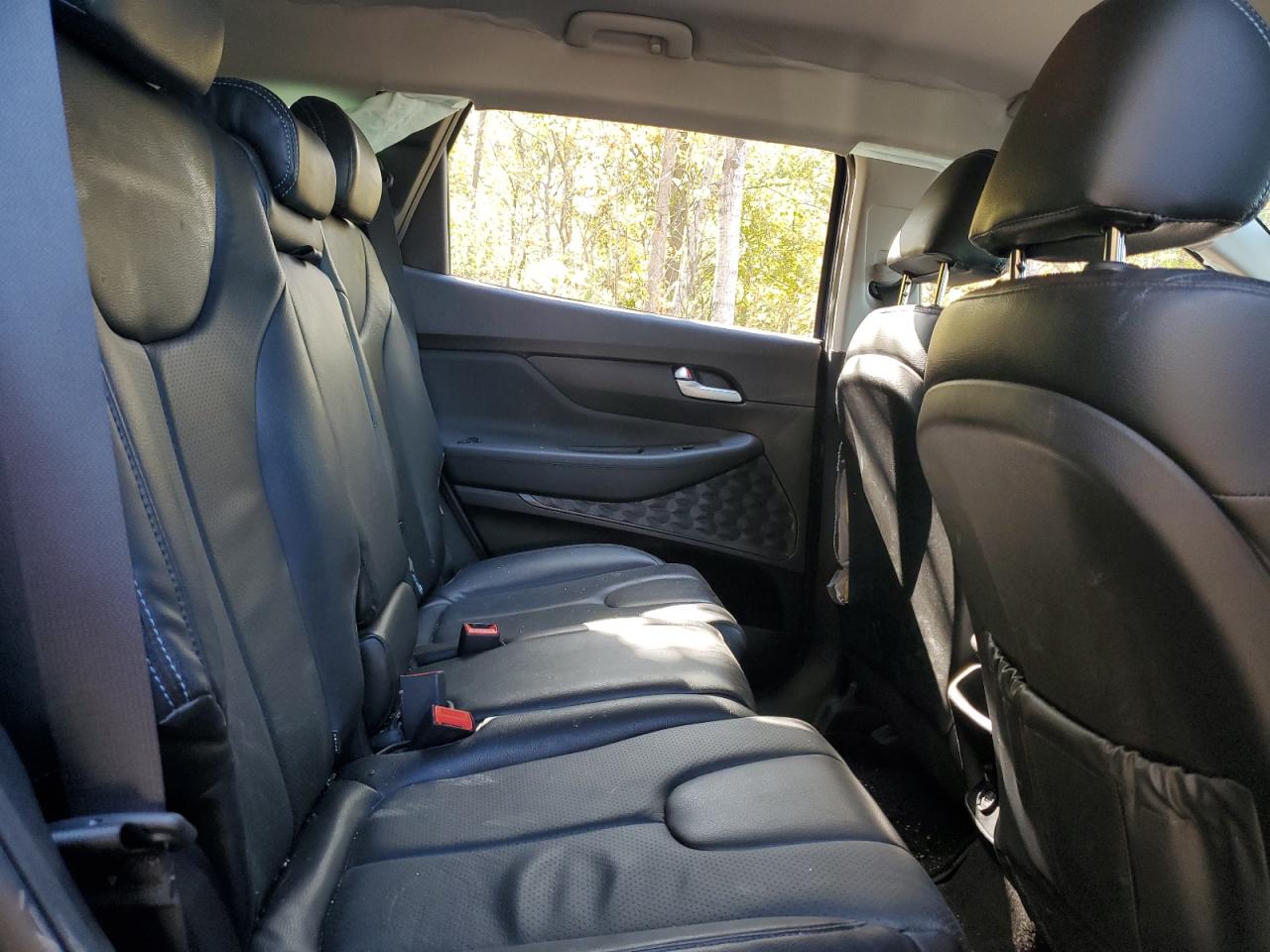 2019 Hyundai Santa Fe Sel VIN: 5NMS3CAA5KH040781 Lot: 85177615