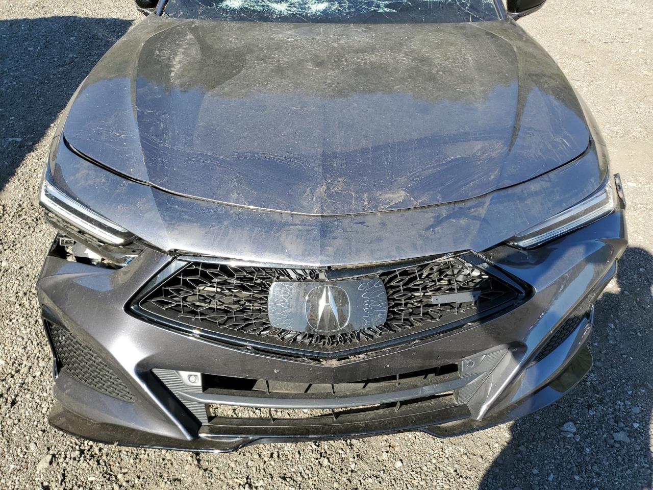 2023 Acura Tlx Type S VIN: 19UUB7F99PA000627 Lot: 69203665
