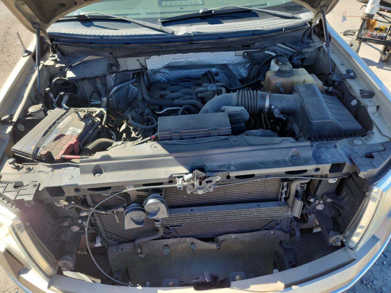 2011 Ford F150 Super Cab VIN: 1FTFX1EF9BFB91975 Lot: 82184235