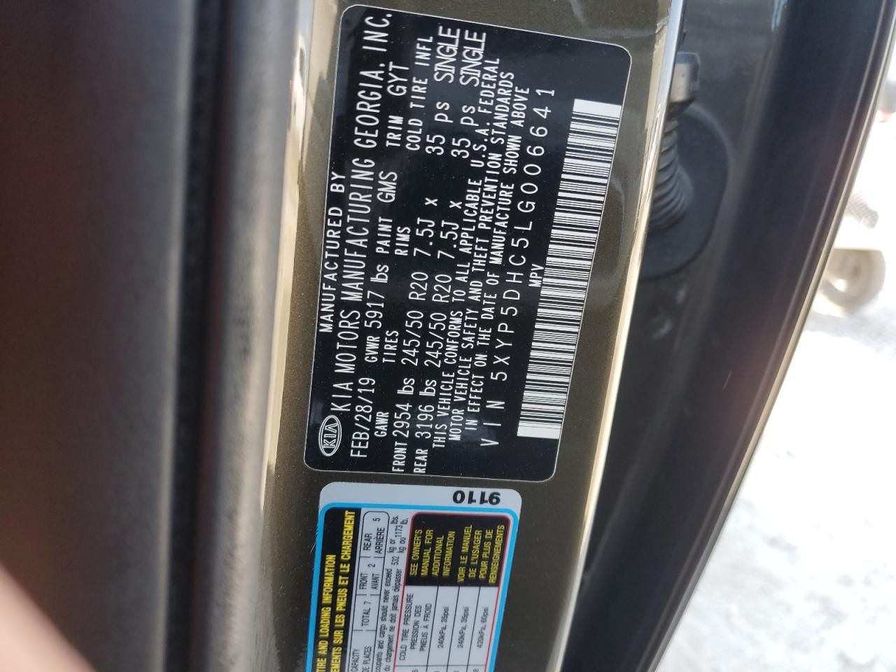 2020 Kia Telluride Sx VIN: 5XYP5DHC5LG006641 Lot: 84985115