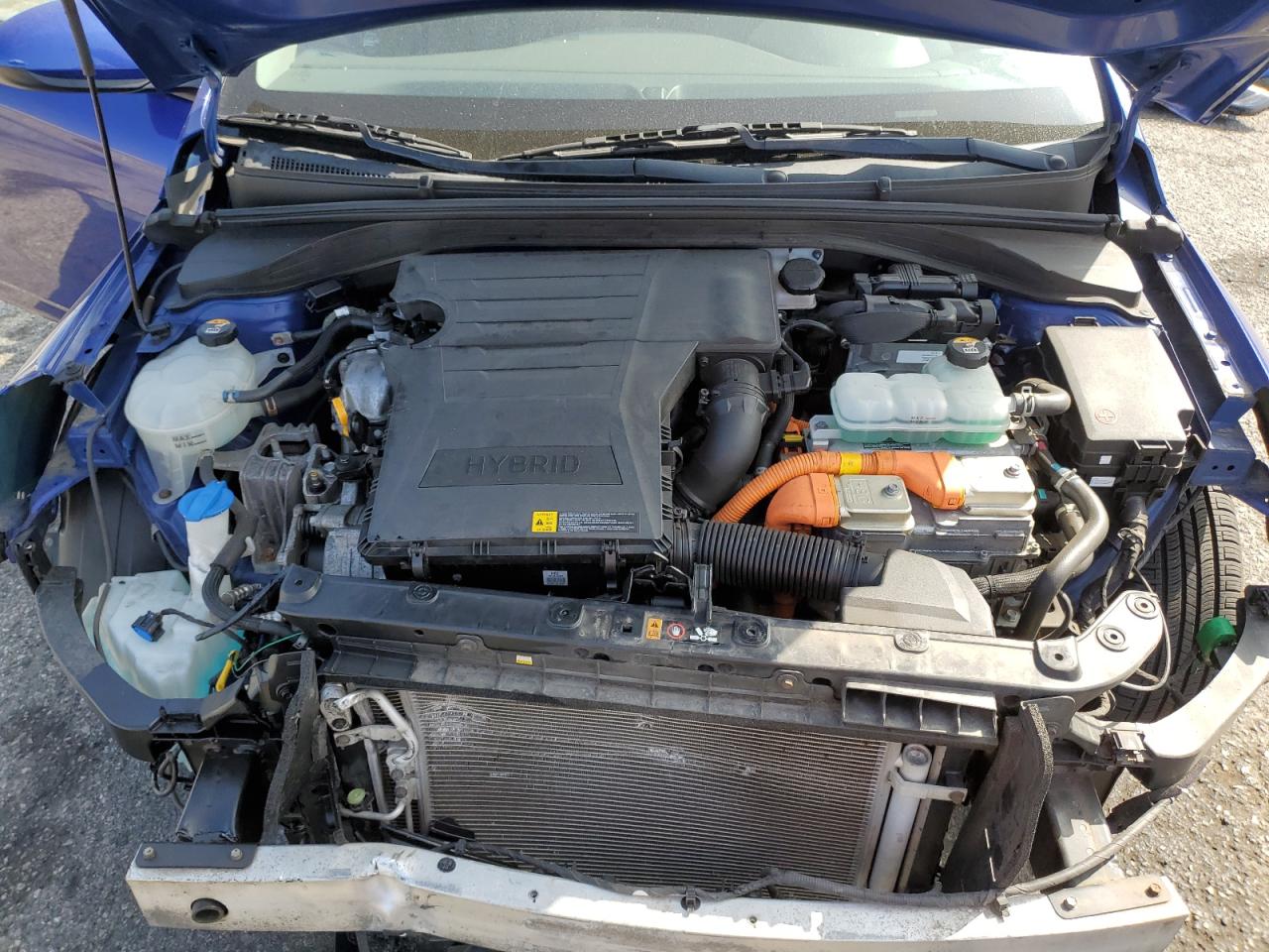 2019 Hyundai Ioniq Blue VIN: KMHC65LC4KU134404 Lot: 85004765