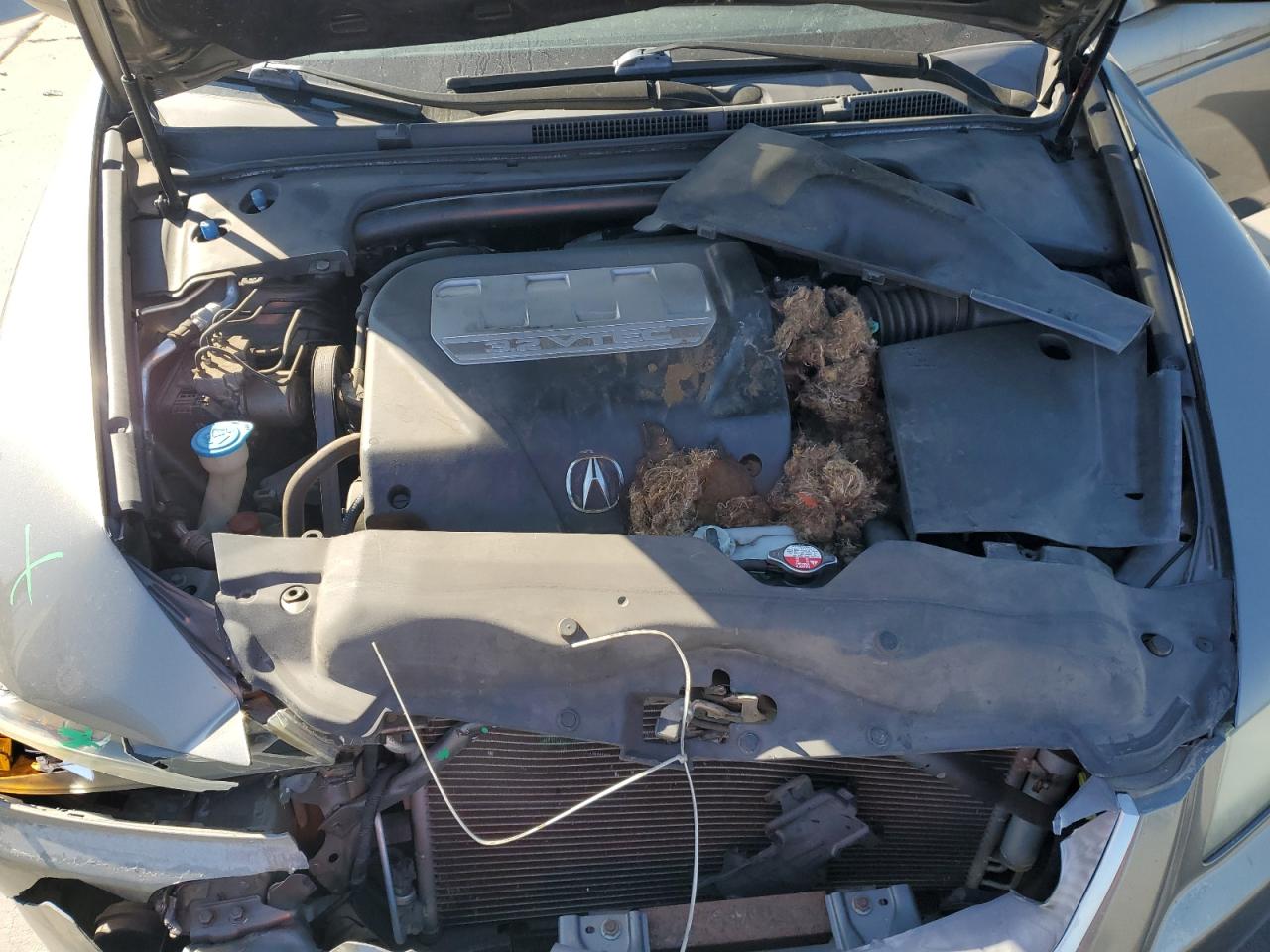 2008 Acura Tl VIN: 19UUA66278A005763 Lot: 82326965