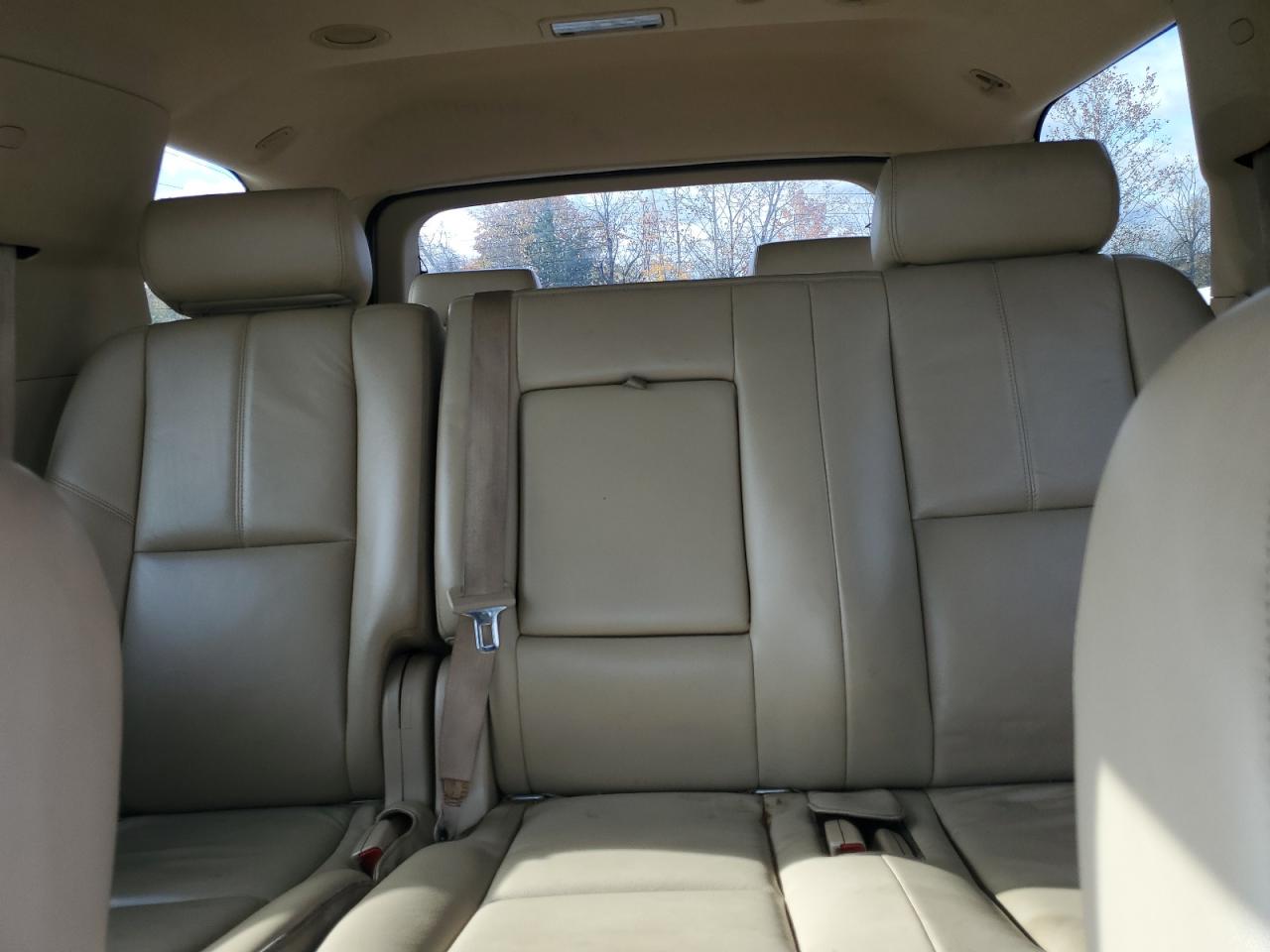 2010 Chevrolet Tahoe Hybrid VIN: 1GNUKDDJ8AR232856 Lot: 90685995