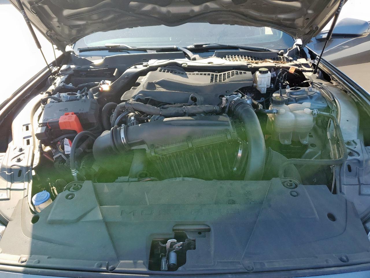 2024 Ford Mustang VIN: 1FA6P8TH4R5106818 Lot: 84642865