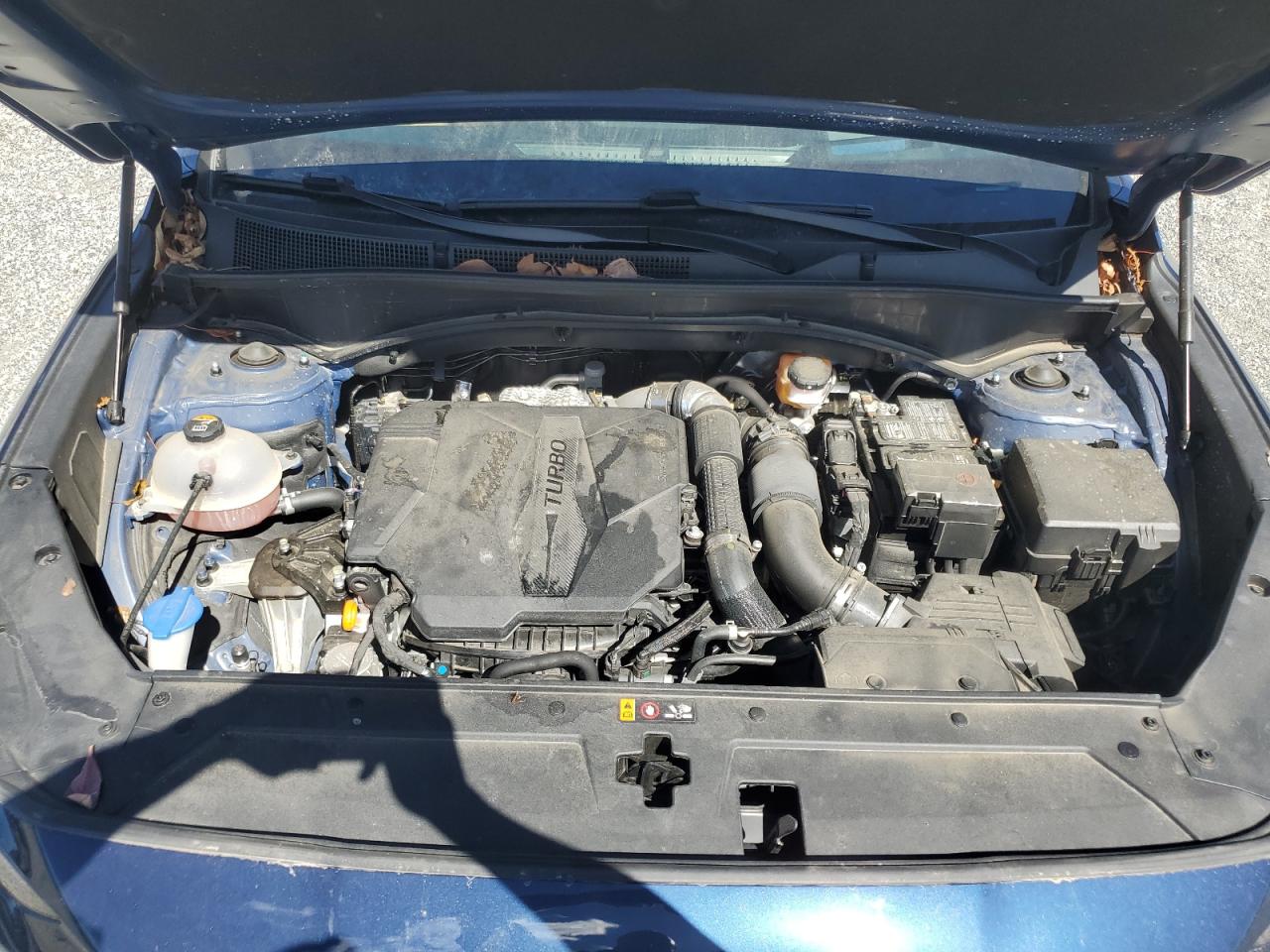 2023 Hyundai Santa Fe Calligraphy VIN: 5NMS5DAL9PH490779 Lot: 85509135