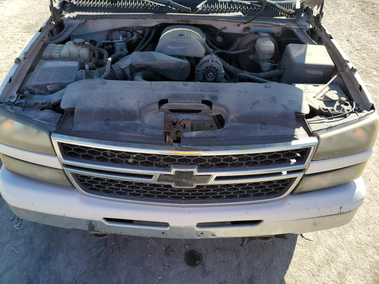 2006 Chevrolet Silverado C1500 VIN: 1GCEC19Z96Z205504 Lot: 82517415