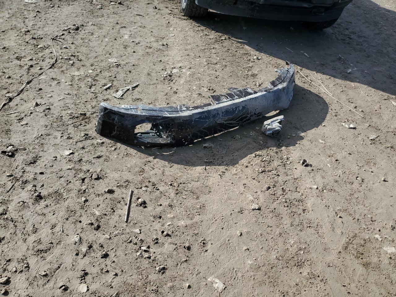 2007 Honda Element Sc VIN: 5J6YH18997L007424 Lot: 82555225