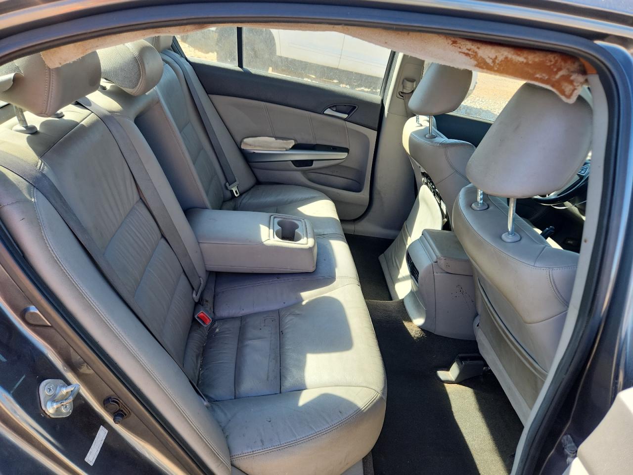 2010 Honda Accord Exl VIN: 1HGCP2F85AA197455 Lot: 82359845