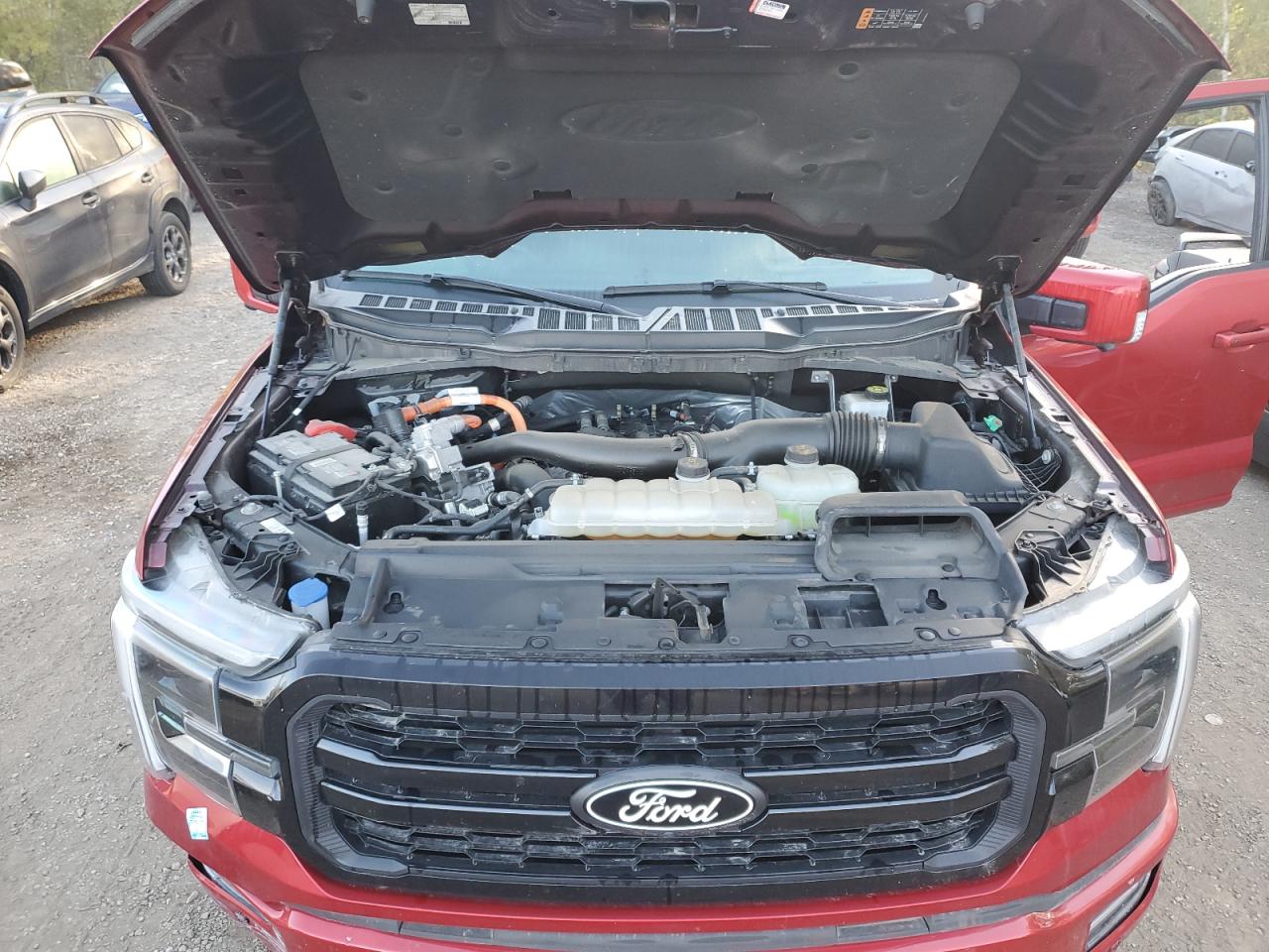 2024 Ford F150 Lariat VIN: 1FTFW5LD8RFA17319 Lot: 84454985