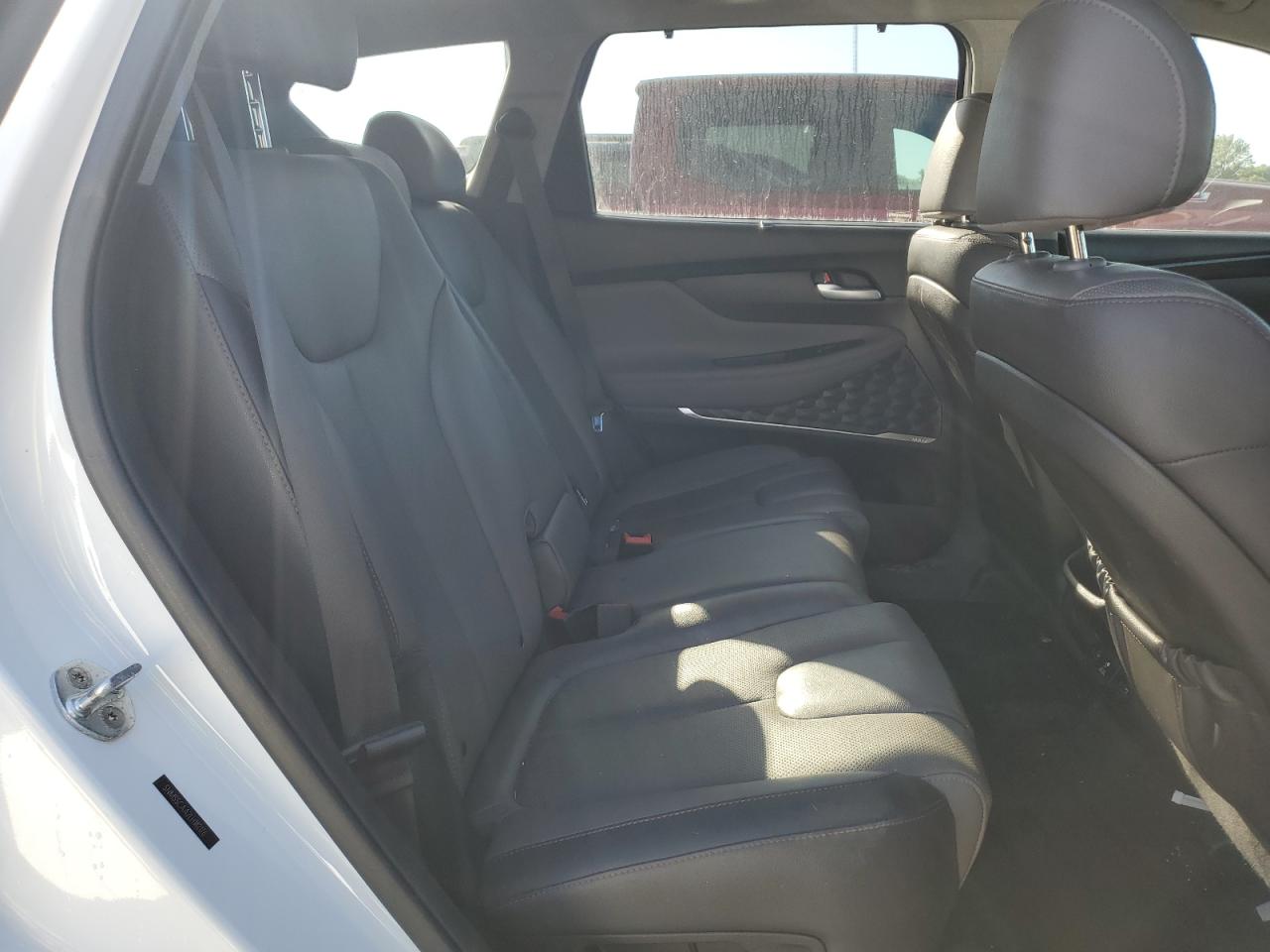 2020 Hyundai Santa Fe Limited VIN: 5NMS5CAA2LH182176 Lot: 85823775